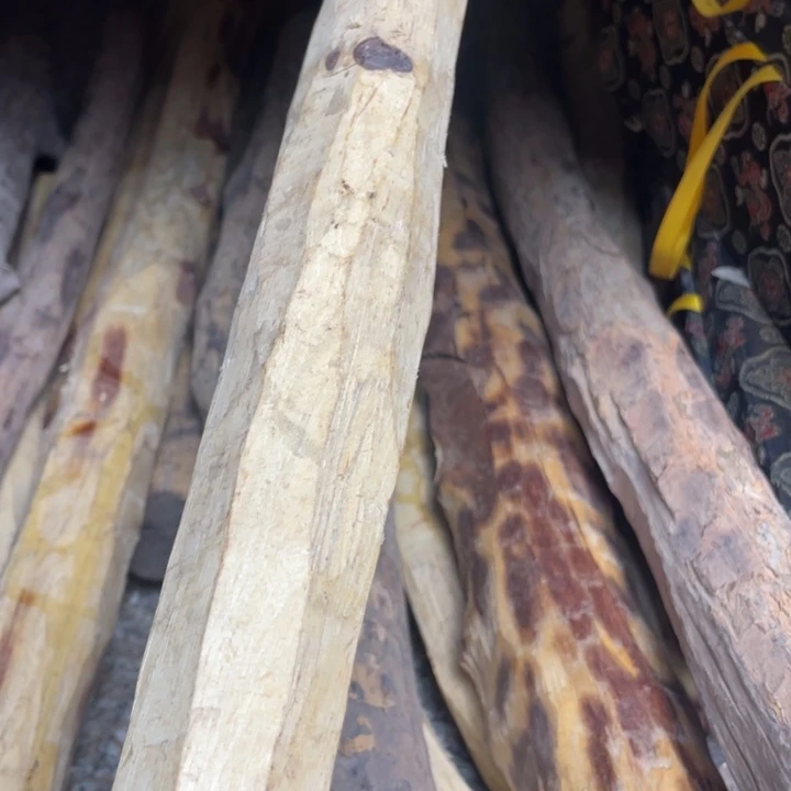 花梨木类一**龚x x x x x x