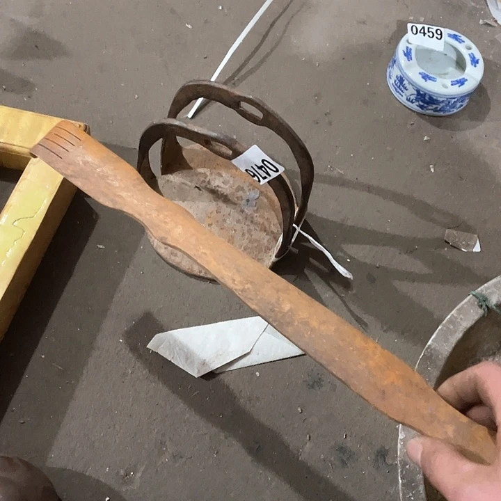 香榧木豆**?木头的一个476