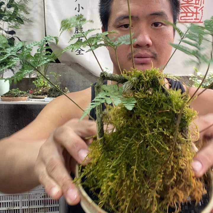 自***车以实际为准退款拉黑拉黑175
