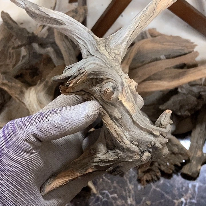 柏木欧*陈化到位坨坨疙瘩