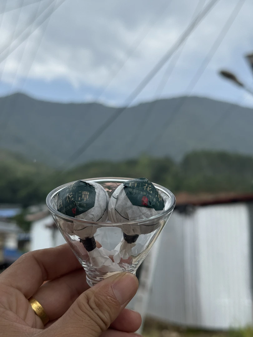 【福袋专用】2024百花潭春尾古树龙珠8gx2颗