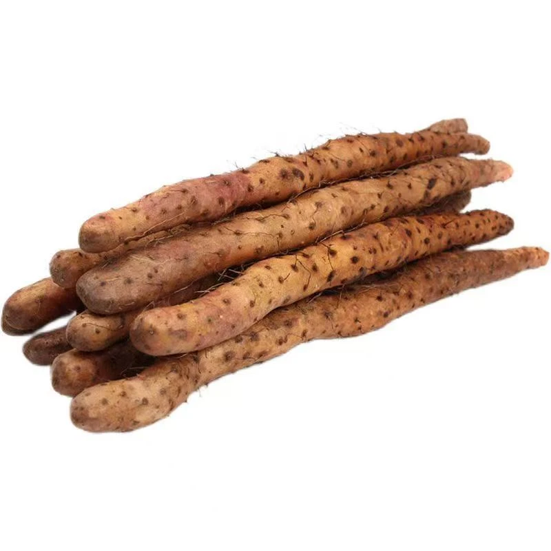 山药整根内蒙山药