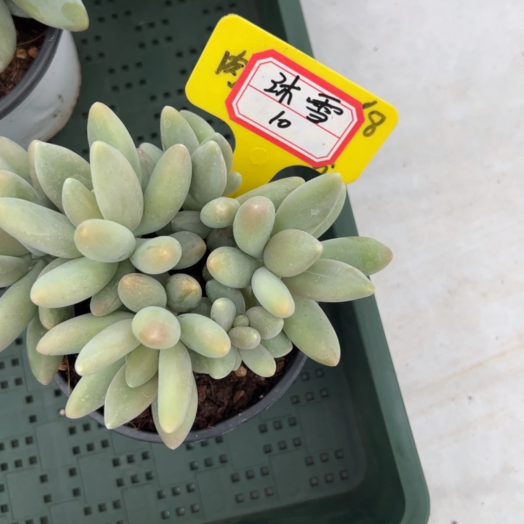 沐***雪沐雪10。