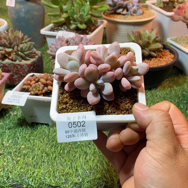 0502啊啊啊啊啊啊啊啊啊啊