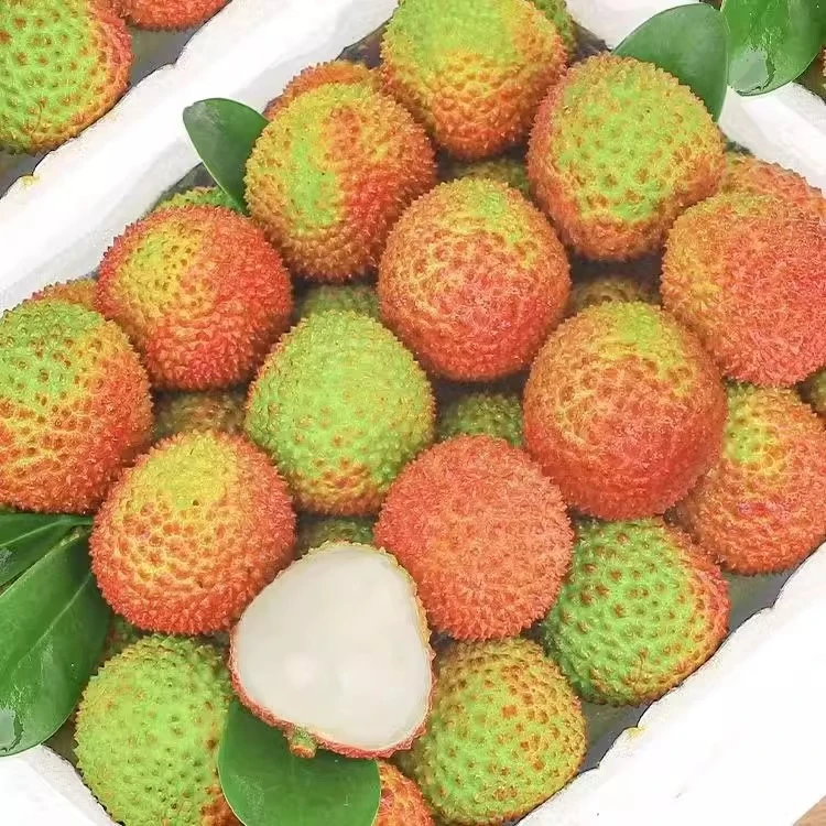 （顺丰冷链）海南桂花香每颗12-16左右荔枝现采现摘