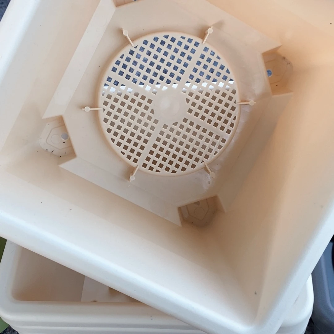 树脂4个米色球根方无托