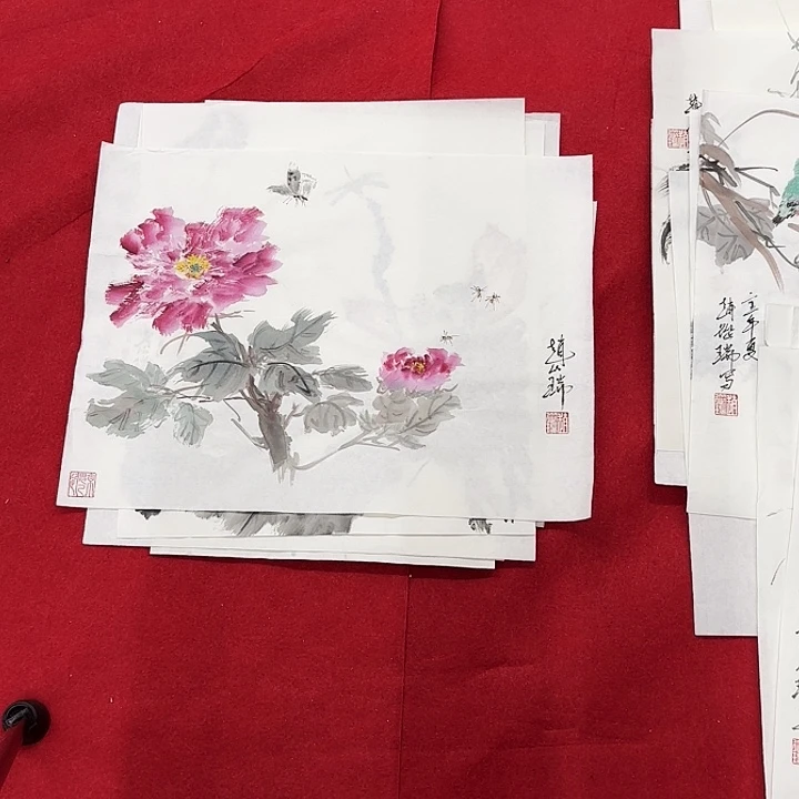 国画花鸟的翅膀和羽毛的