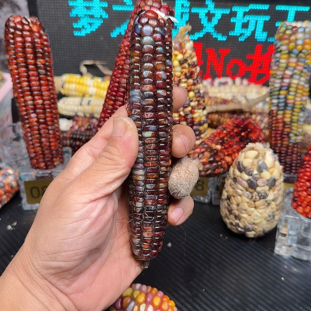 ****。大叶紫檀（黑酸枝木类）