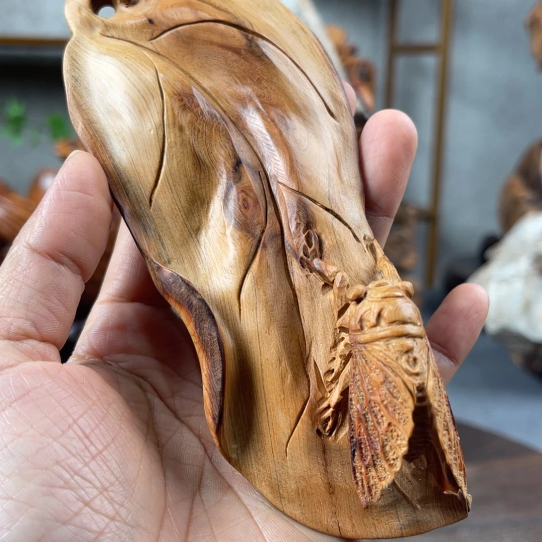 柏木（崖柏）崖柏太行山脉