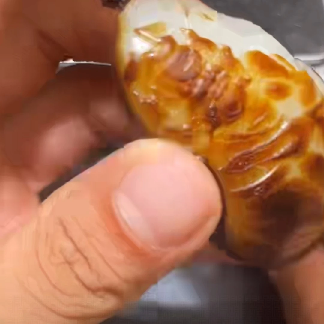 钟馗9.19HX多样性拍一发一