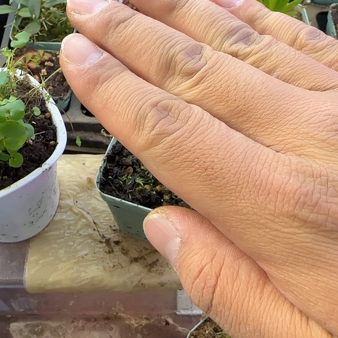 劳***帝完全开放保温加厚专用链接