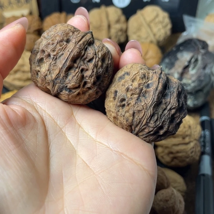 品***生一物一拍如图所示90