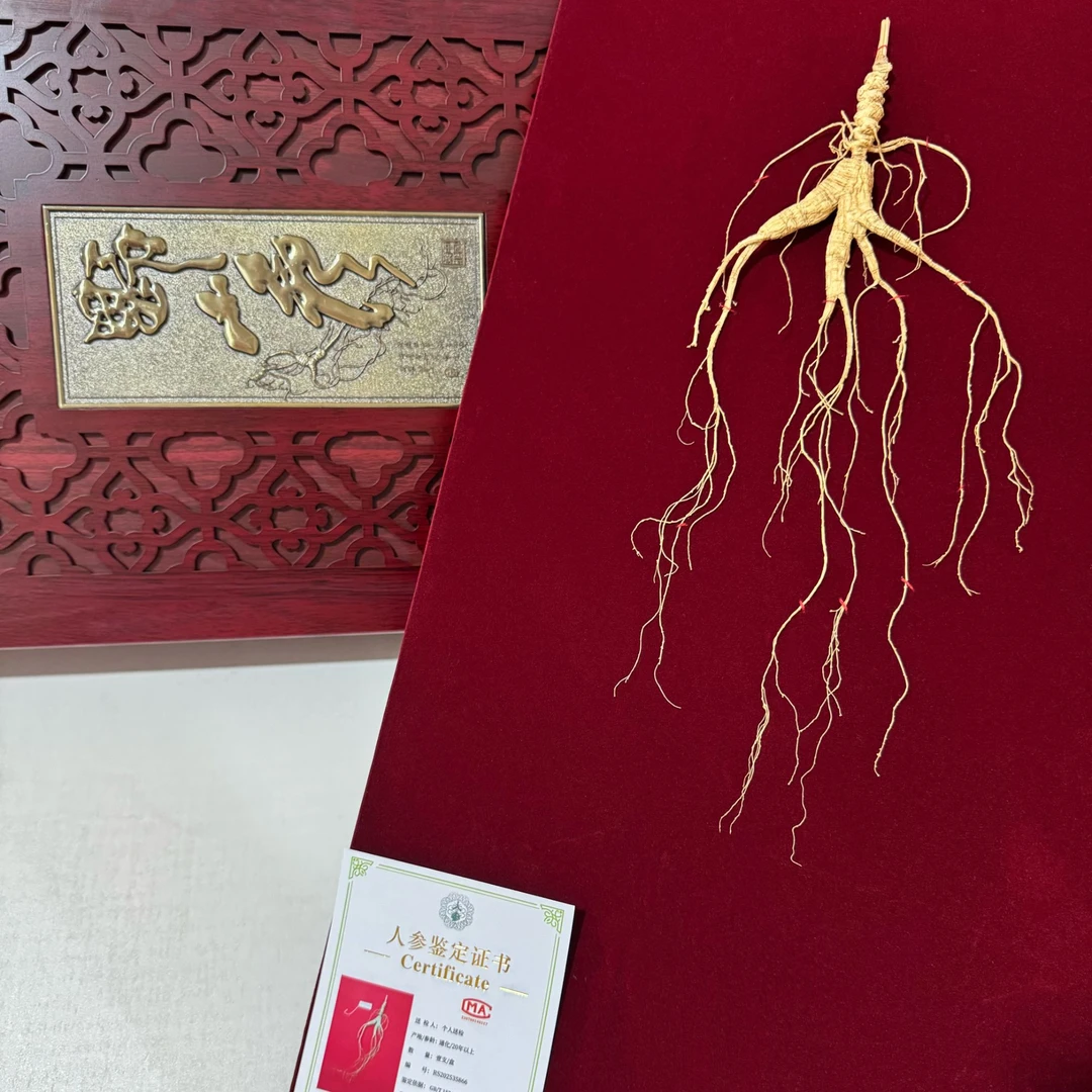 国检野山参80板东北长白山人参礼盒 一盒一证送礼自用佳品