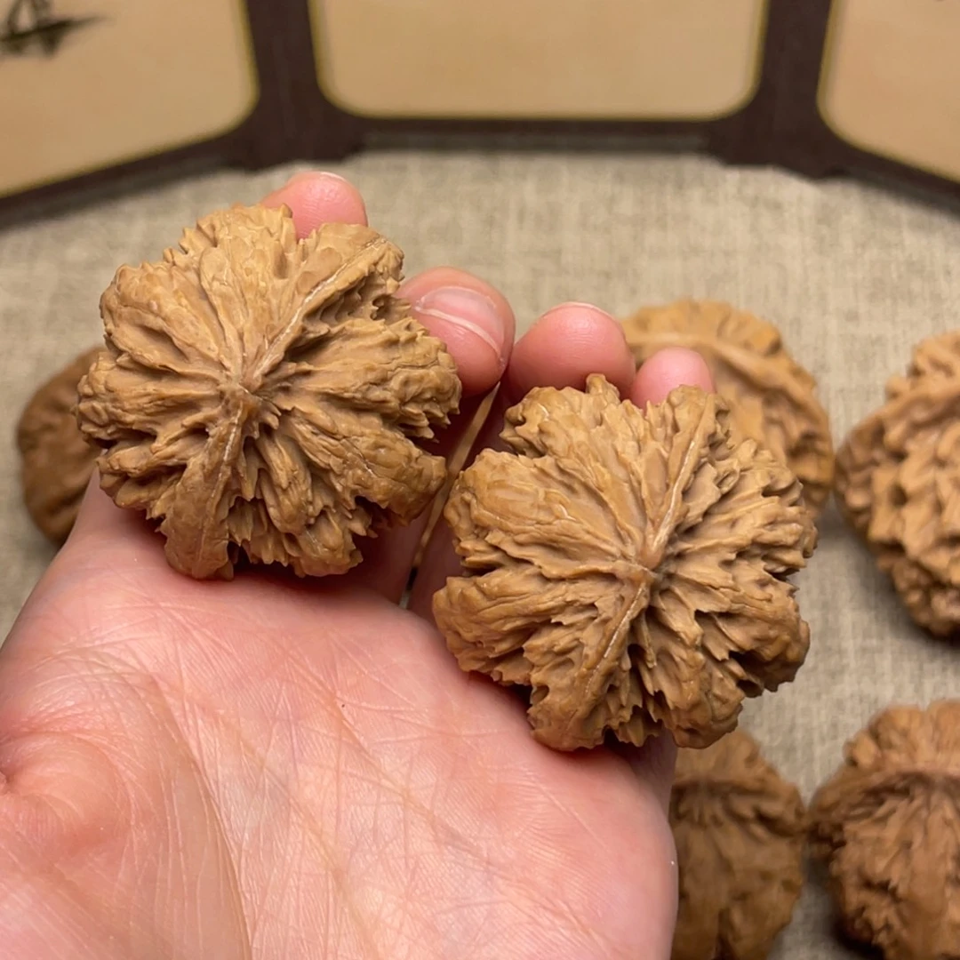 有***得文玩核桃把件秦岭核桃10号