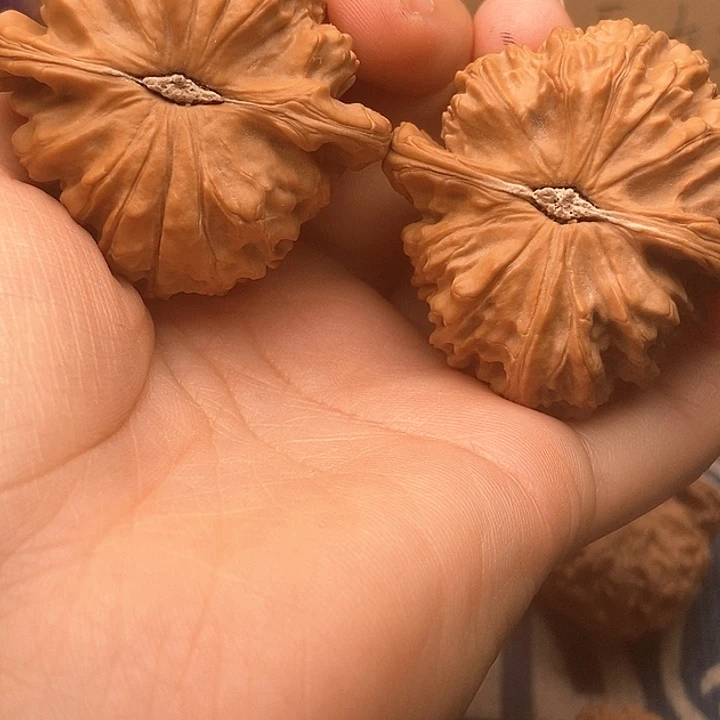 文玩核桃吊坠笑*初46白狮子