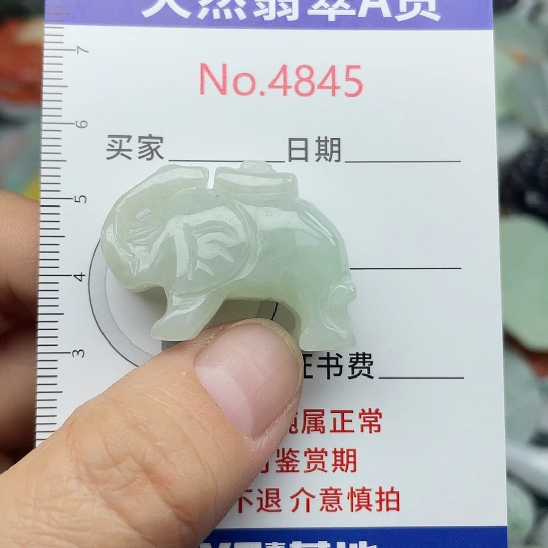 翡翠未镶嵌挂件4845