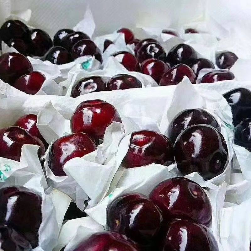 00000000川渝（现场代买）盲盒黑珍珠（帮买有坏果不售后）