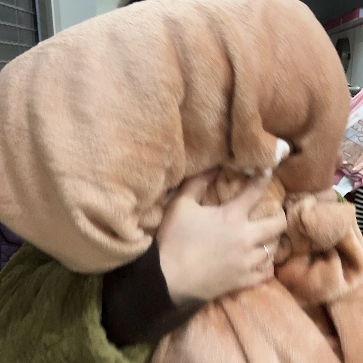 好***满聚酯纤维聚酯纤维12