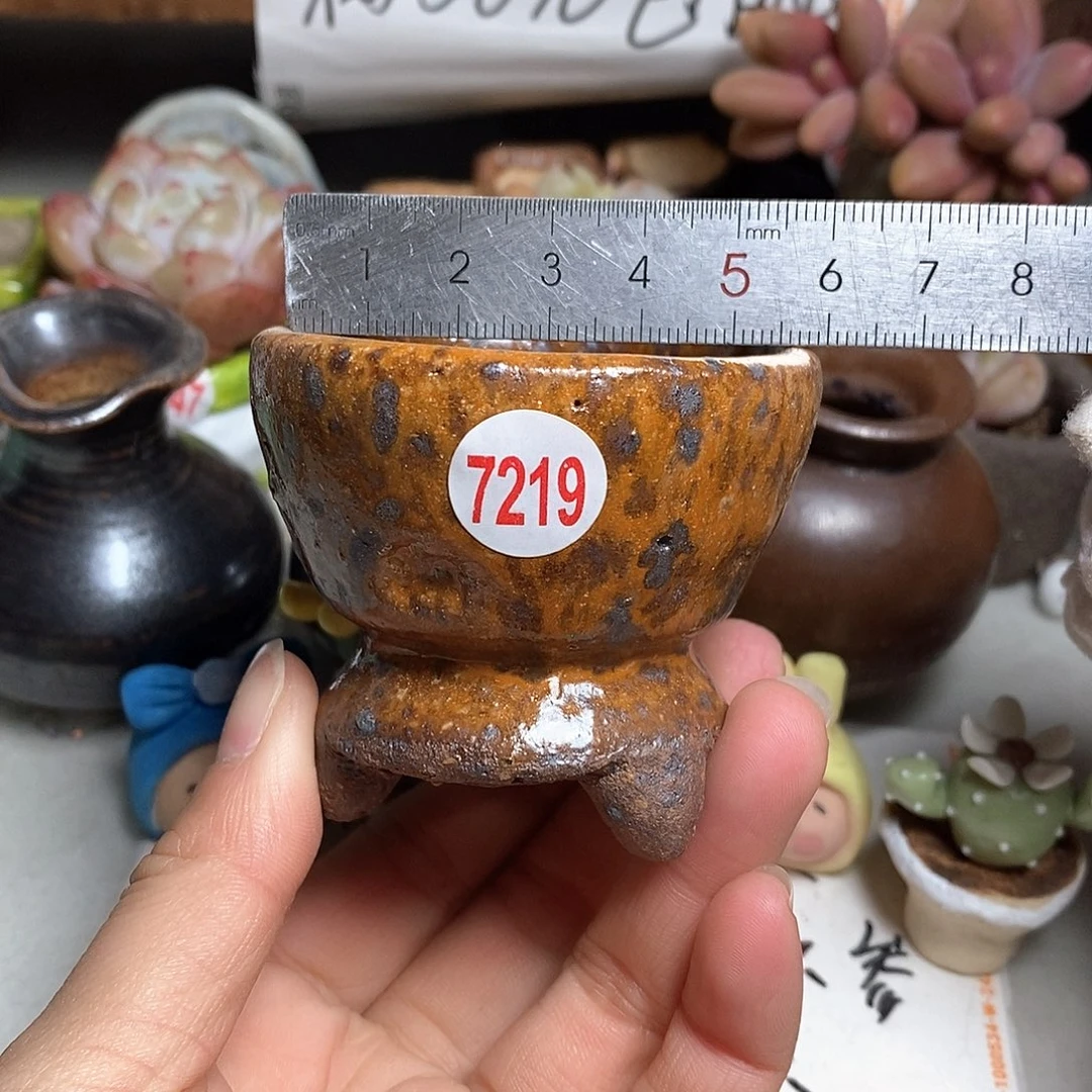 红陶拍5送一个小