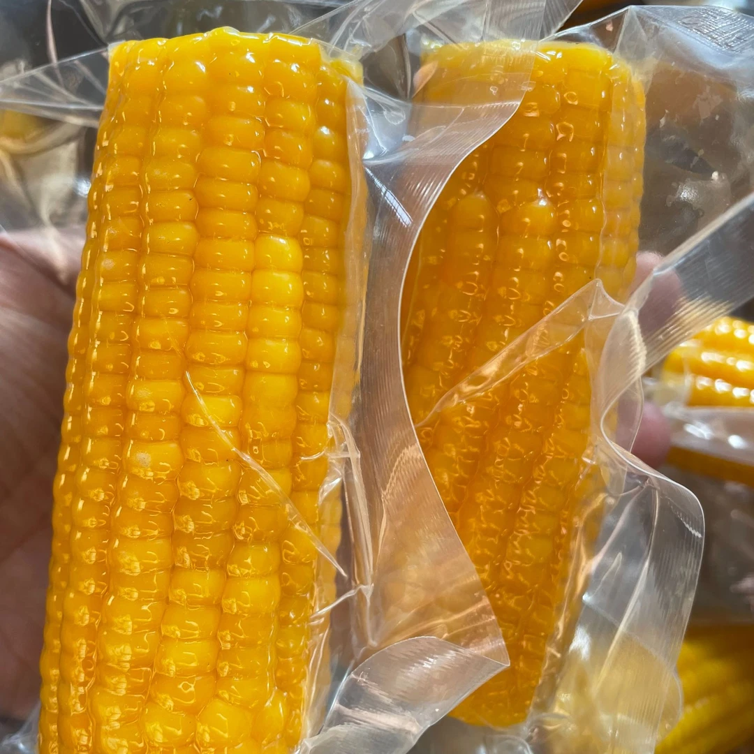 精品六十黄玉米段/儿童玉米/软糯香甜/从新疆发货