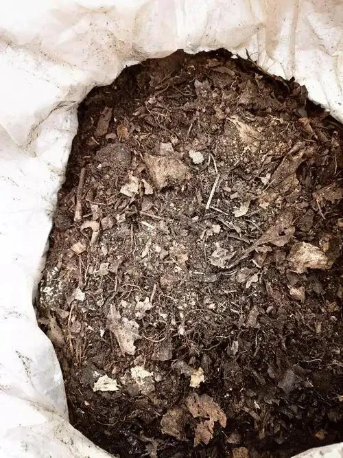 云南高山腐叶土   疏松透气