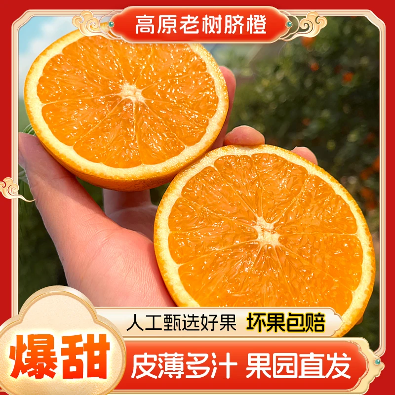 四川脐橙（老树脐橙）老品种橙子