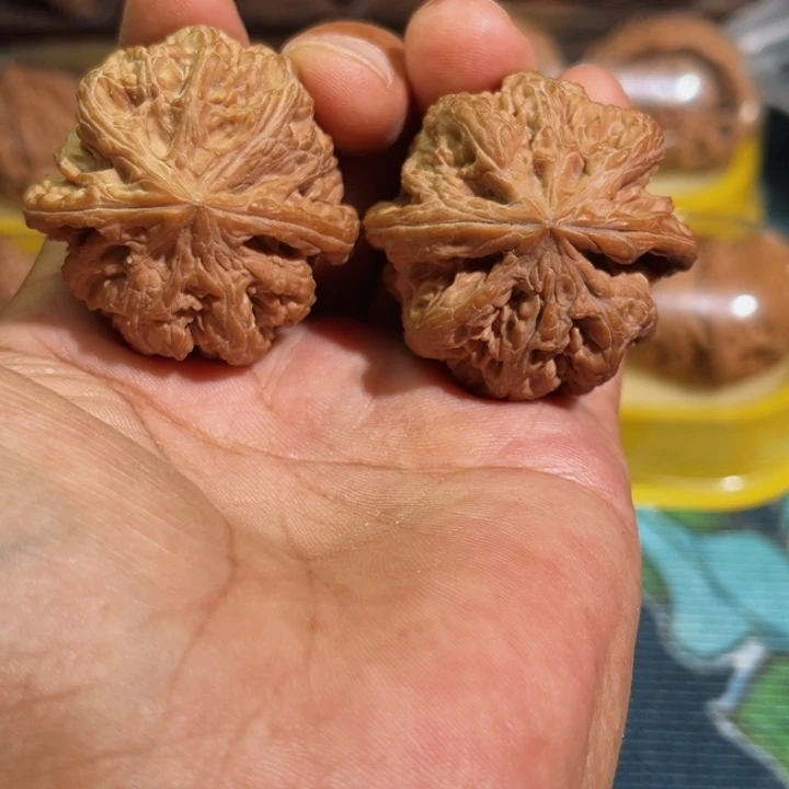 把件文玩核桃粗筋41