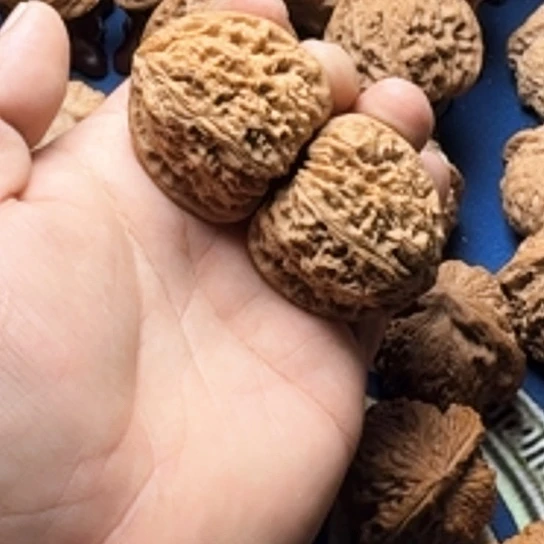 43全品无修涿鹿三角疆