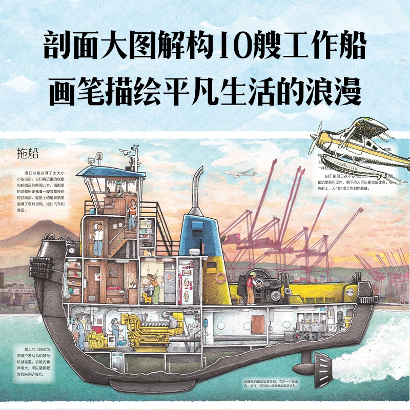 【中信童书】忙碌的大船 少儿科普百科能满足5~10岁孩子好奇心