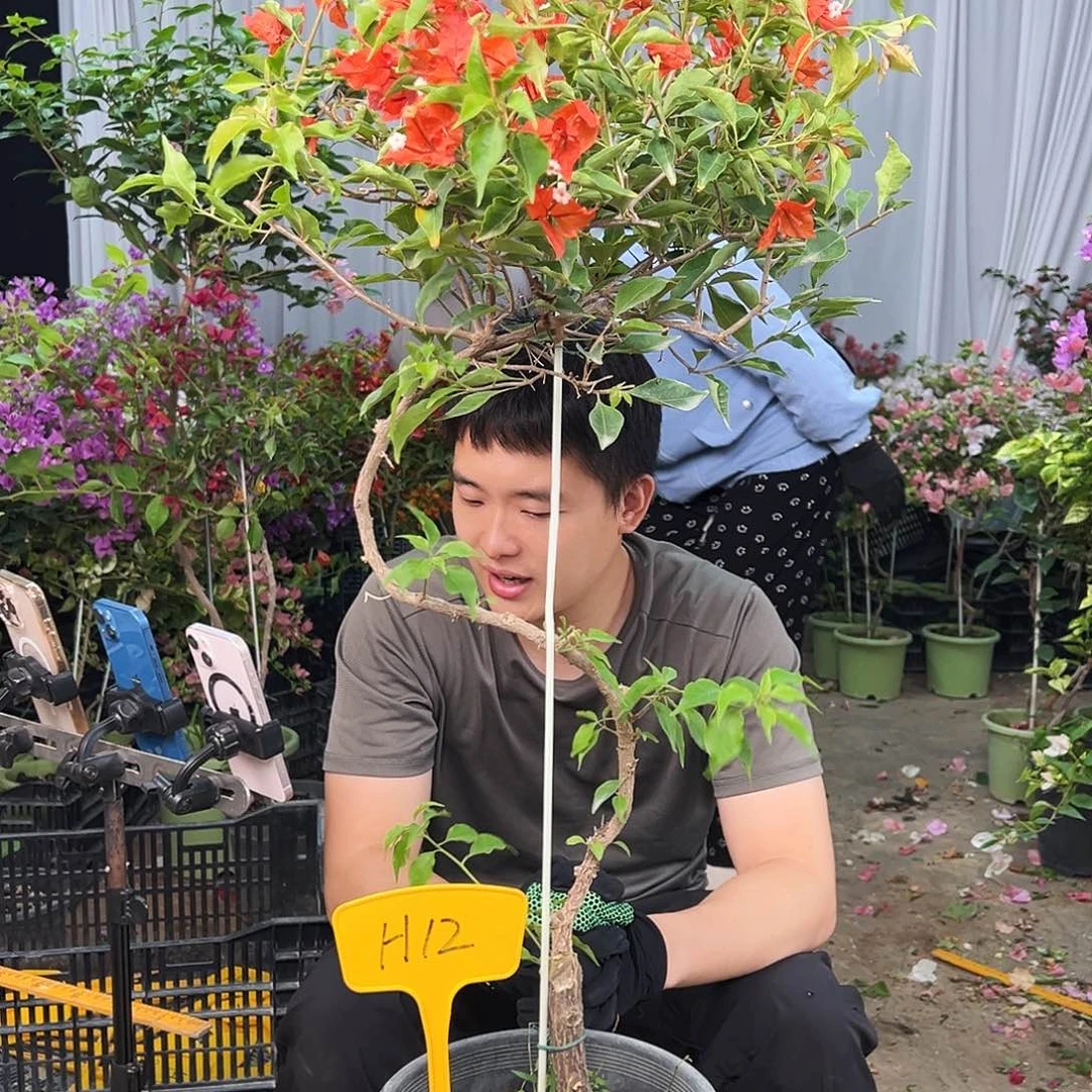 艳***天完全开放H12热火桑巴