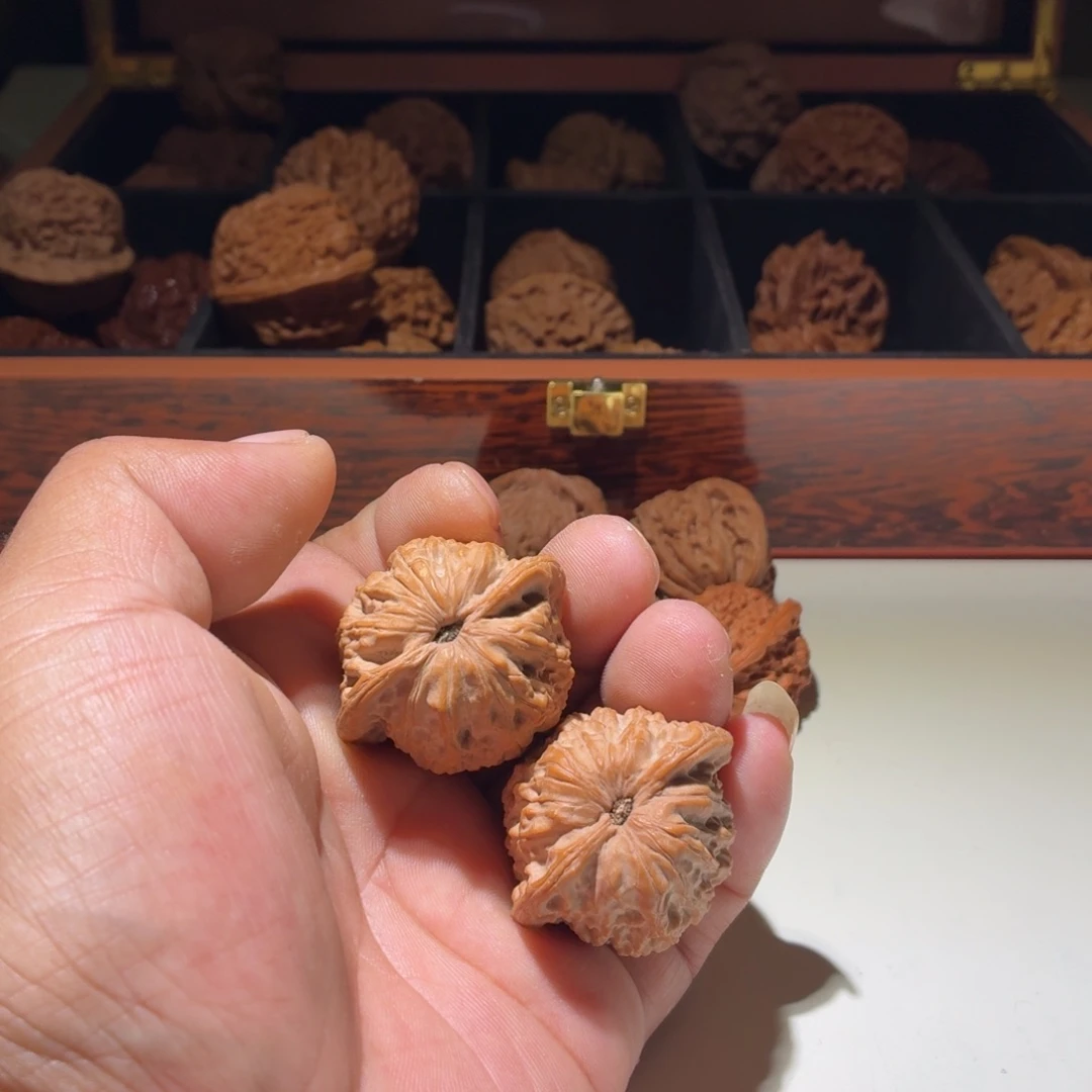 文玩核桃把件卷***士催开帽子