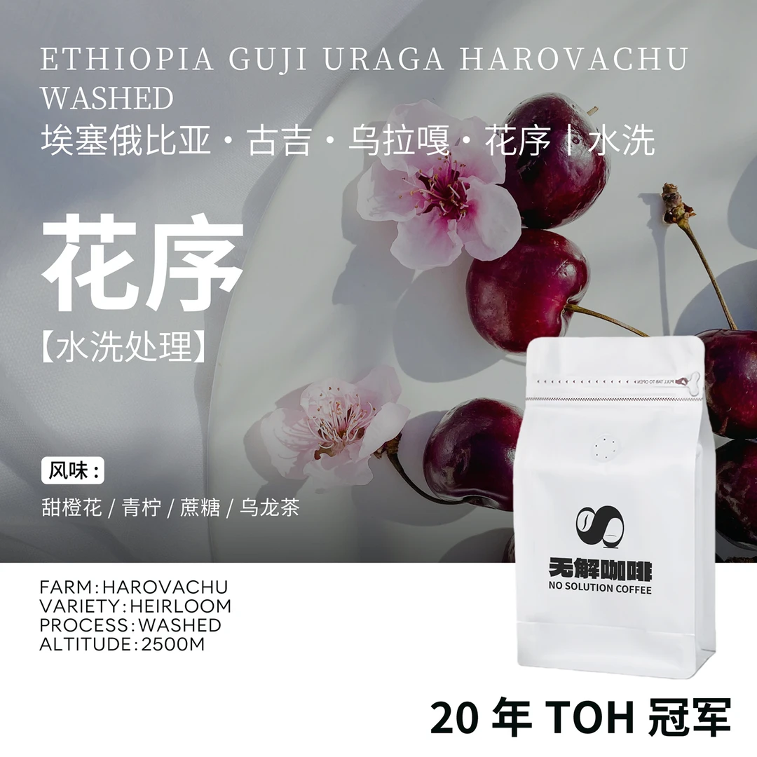 无解埃塞俄比亚·古吉乌拉嘎·花序·水洗浅烘手冲咖啡豆