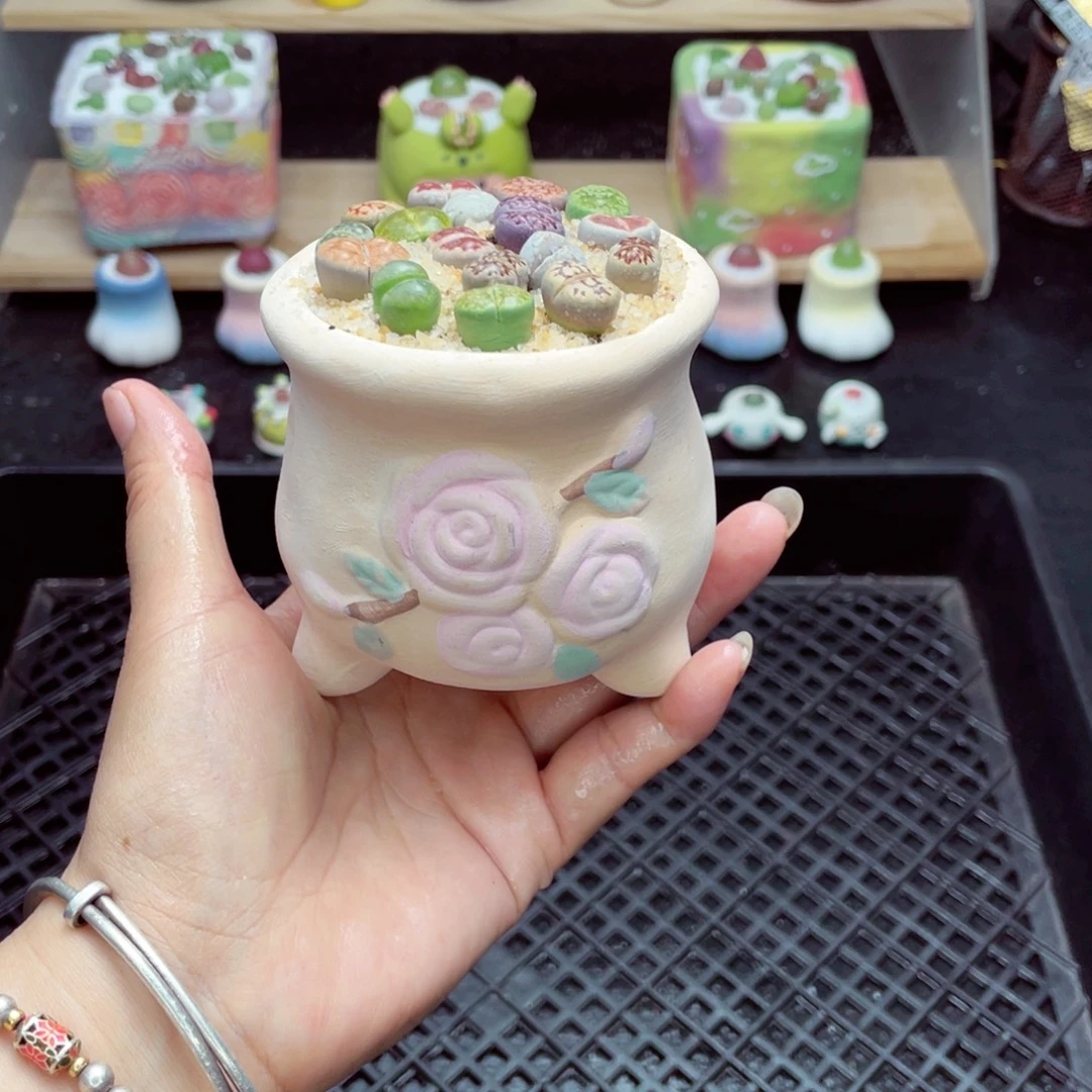 w3735 带盆土发货一物一拍