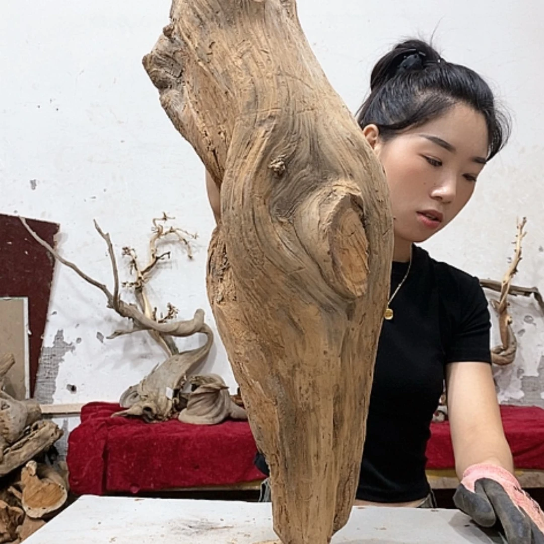 【闪购商品】柏木给***卡我们都是好孩子