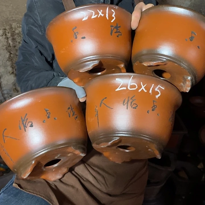 红陶你的生活就是这样一