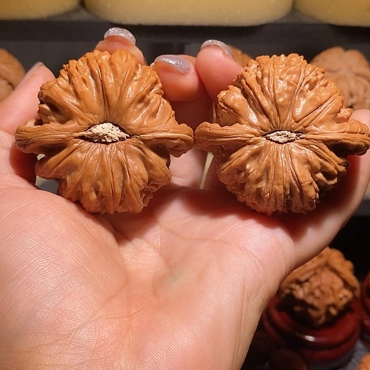 文玩核桃把件枯*49白狮子