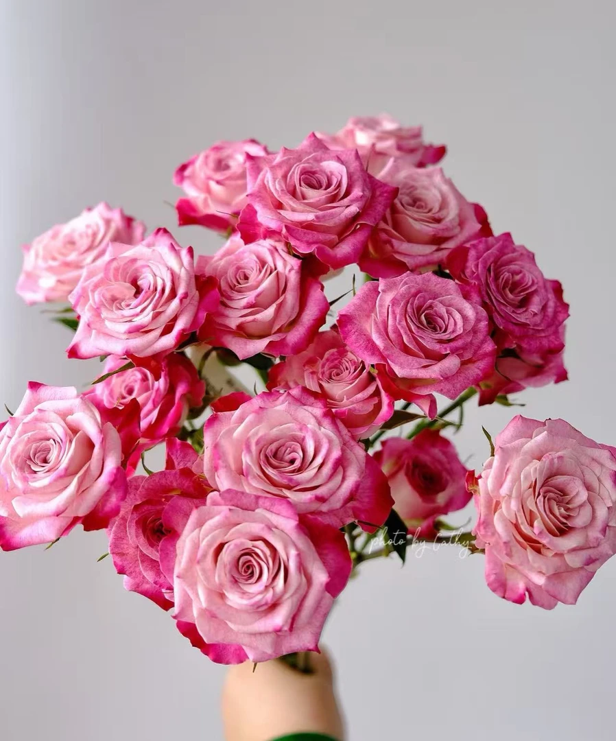 【顺丰发货】花公子多头玫瑰雏菊鲜花1-4单一个运费自选品种