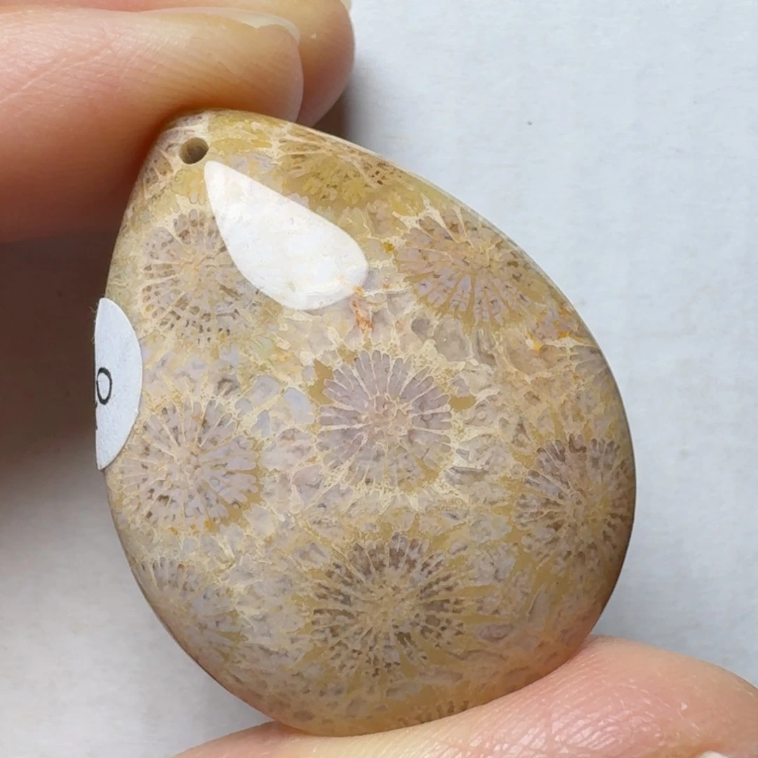 硅化玉细看花不错，可盘未镶嵌