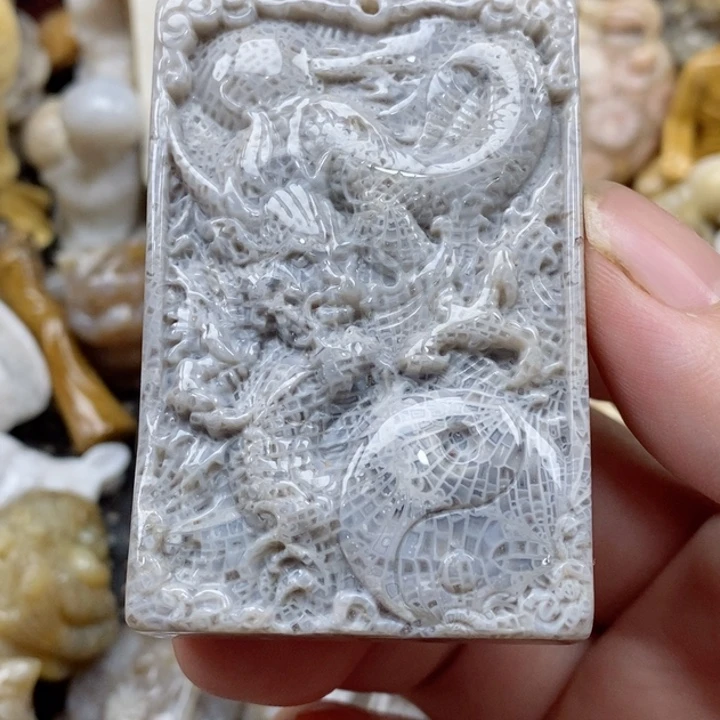 颈饰未镶嵌硅化珊瑚（珊瑚玉）