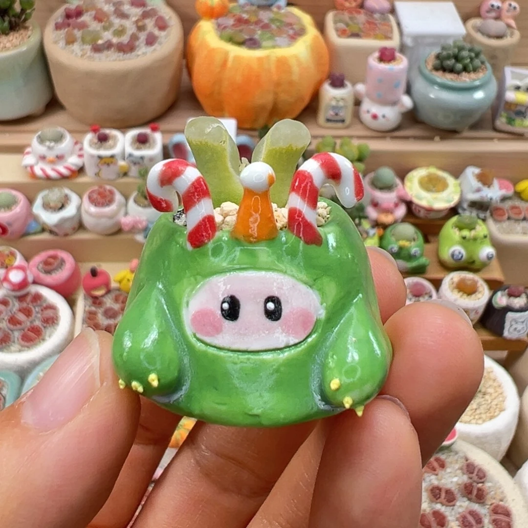 多肉植物29号奶瓶