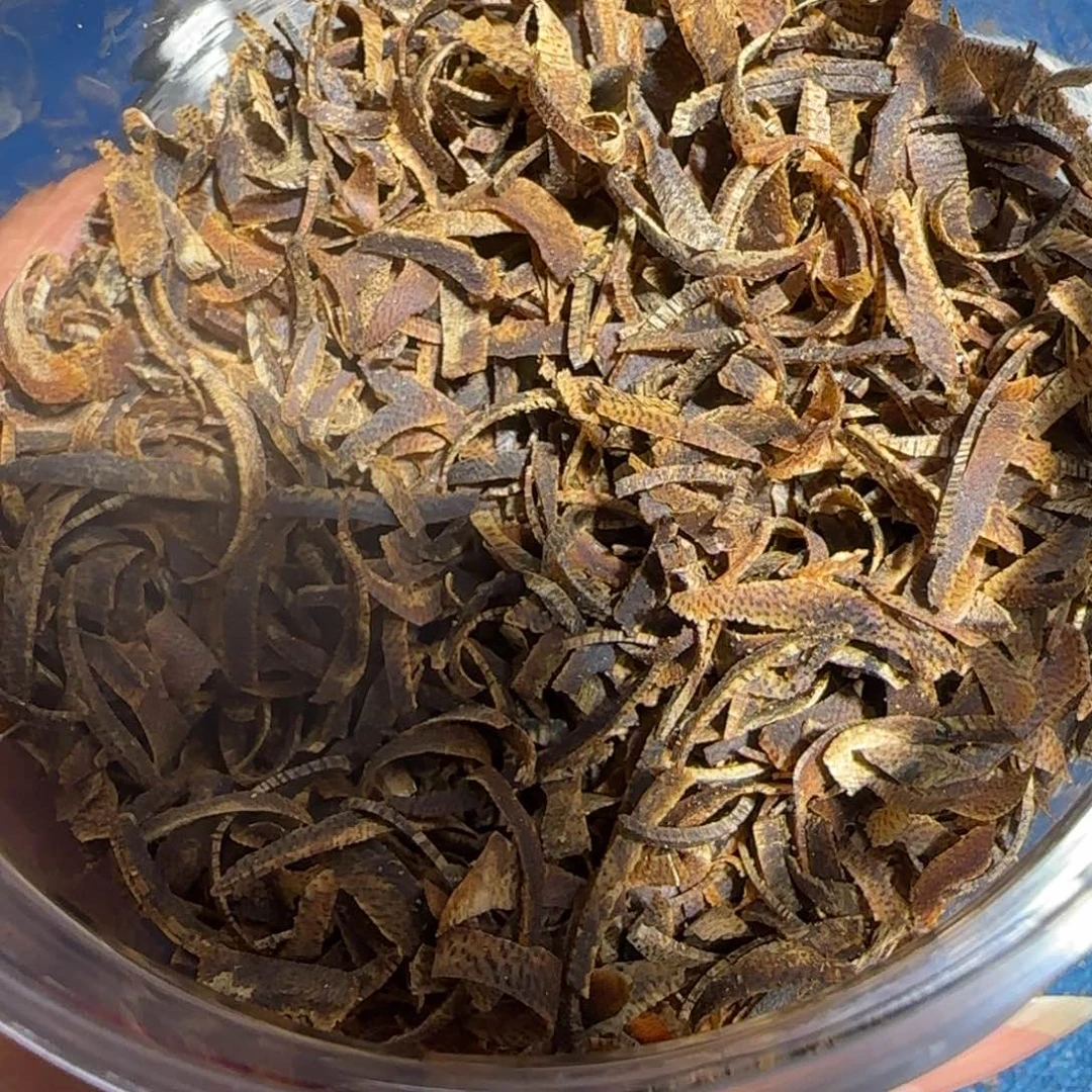 沉香手把件牛*刀海南老白奇虫草丝111克