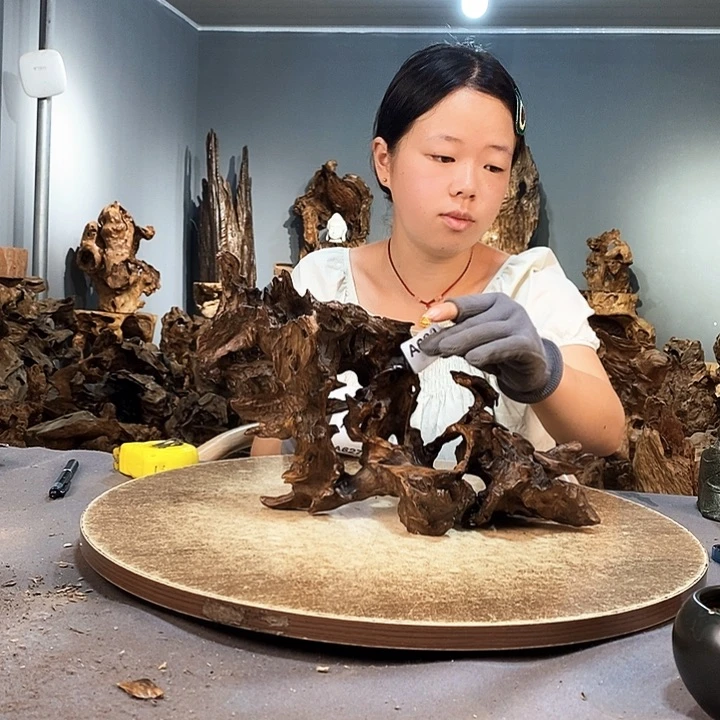 隆***龙610株木随行的小根艺623株木随行的小根艺