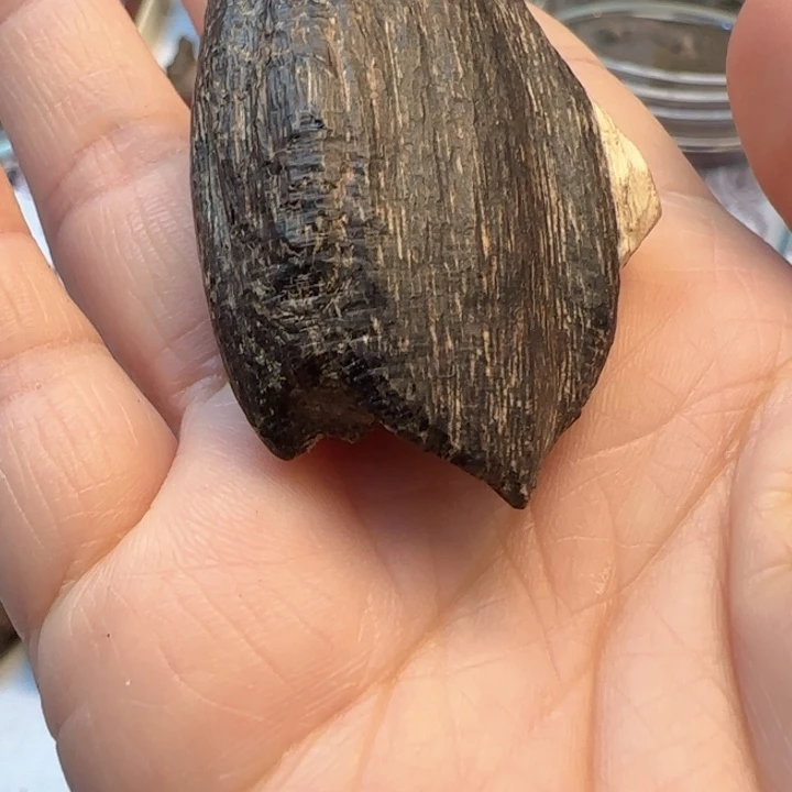 沉香摆件深圳野生瓜子4.8克