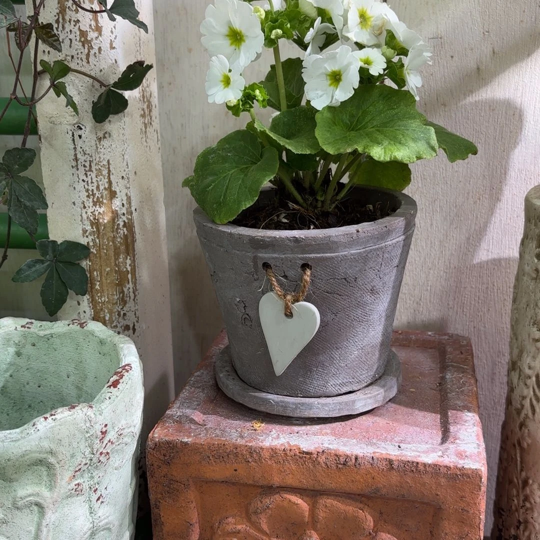 许纯的花房爱心一套