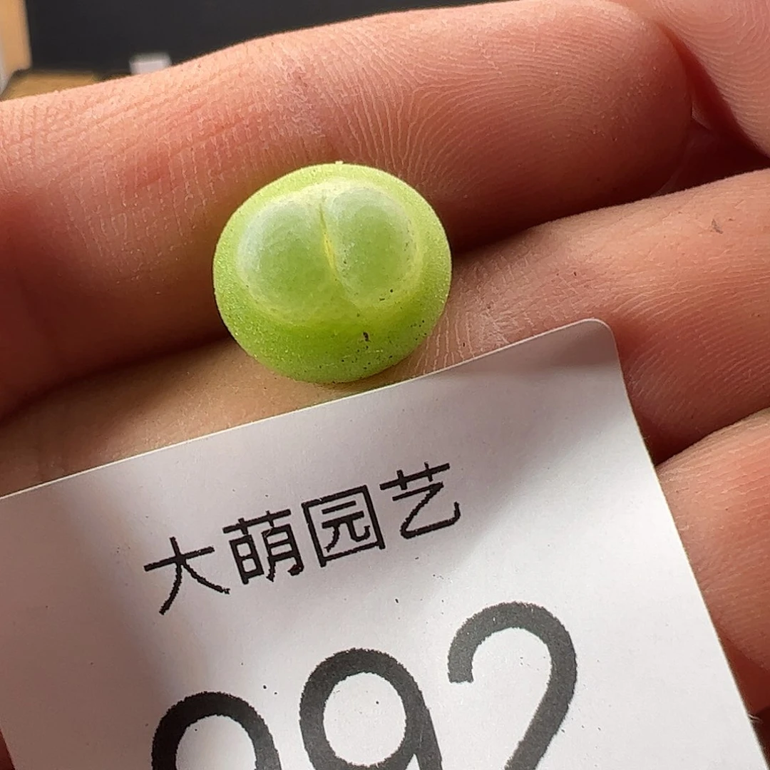 0000992 一物一拍……