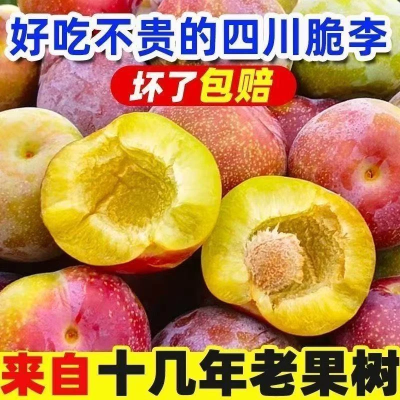 四川正宗半边红李子新鲜采摘脱骨脆甜茵红李多汁应季水果整箱包邮