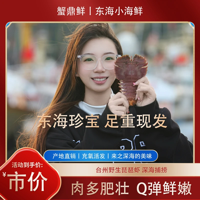 东海台州海捕琵琶虾充氧活发包鲜包肥不包活琵琶虾鲜活发货