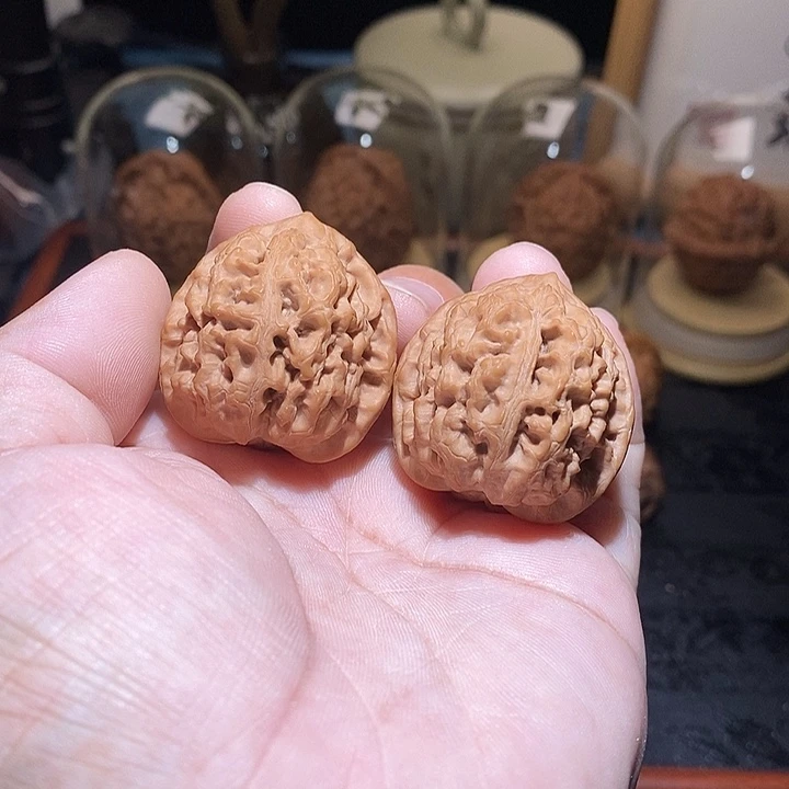 吊坠文玩核桃太行龙纹