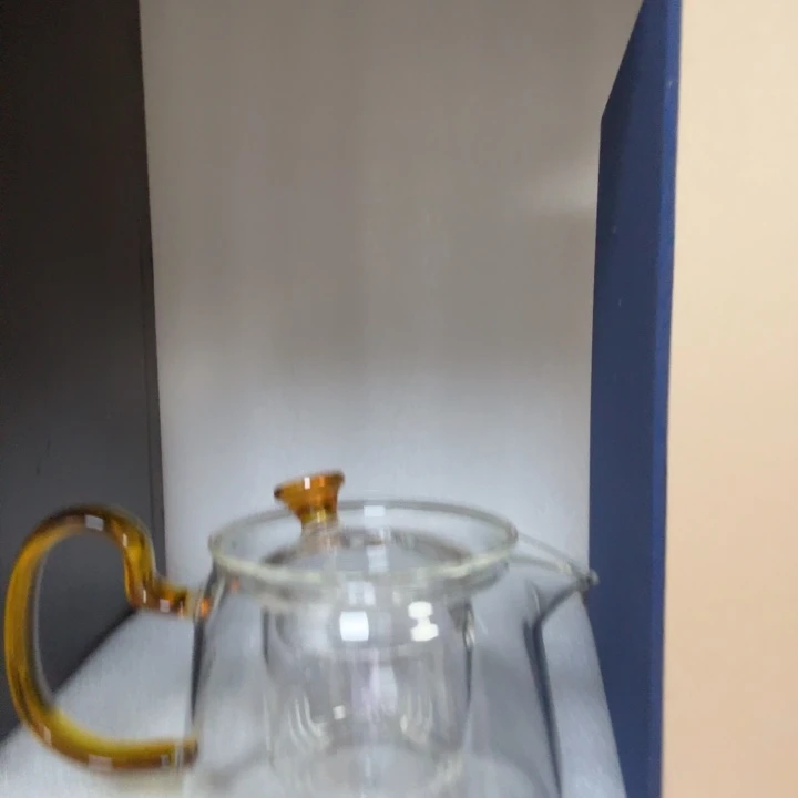 全玻璃茶壶可煮茶