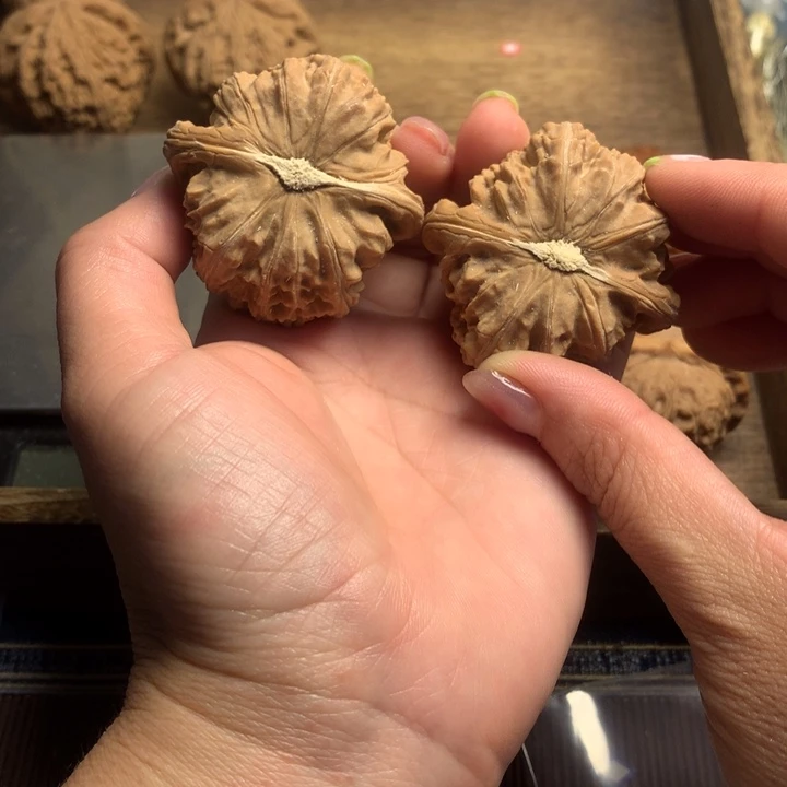 吊坠文玩核桃?白狮子